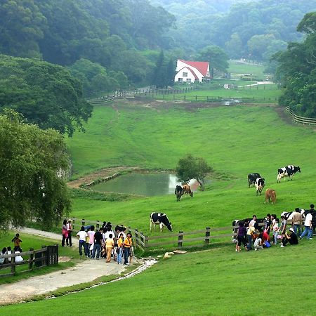 Flying Cow Ranch Hotel Tongxiao Buitenkant foto